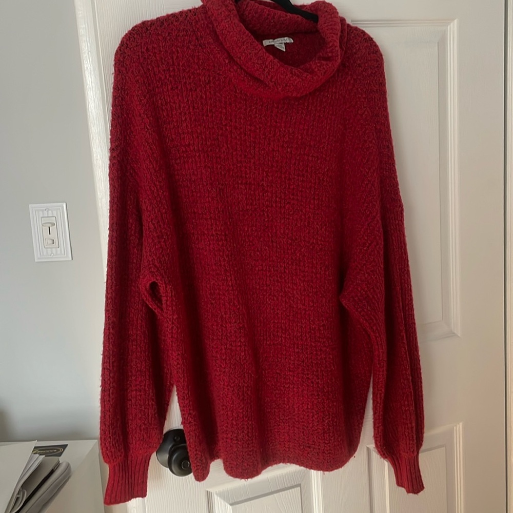 American Eagle oversized turtleneck sweater